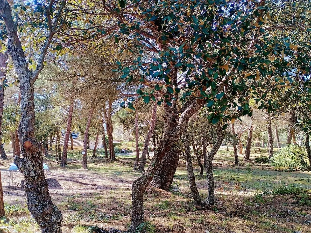 Holiday home Gite Lavande Jardin 33 Hectares Avec Piscine Au Coeur De Provence Saumane-de-Vaucluse