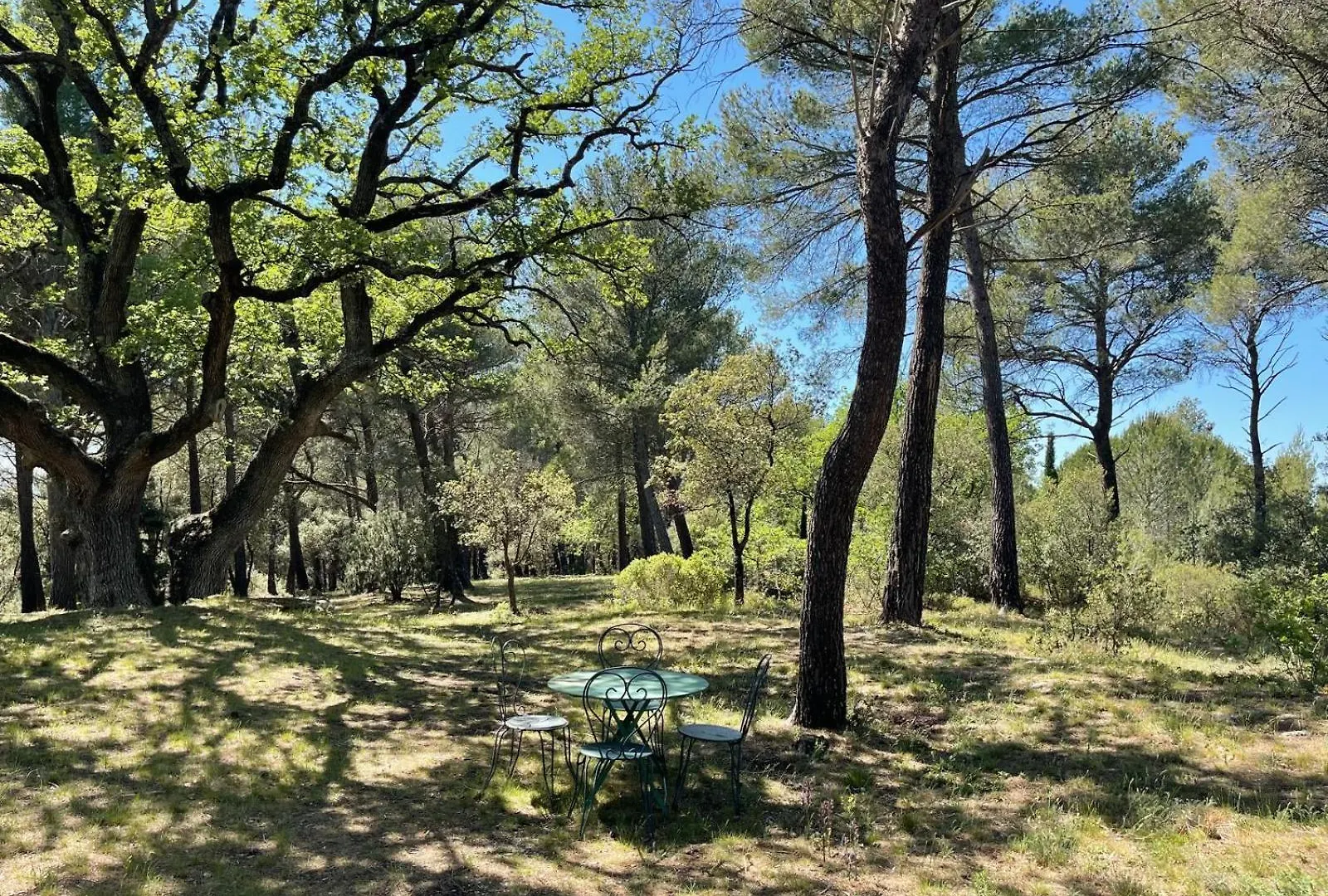 Gite Lavande Jardin 33 Hectares Avec Piscine Au Coeur De Provence Saumane-de-Vaucluse France